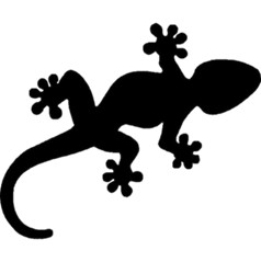 gekko